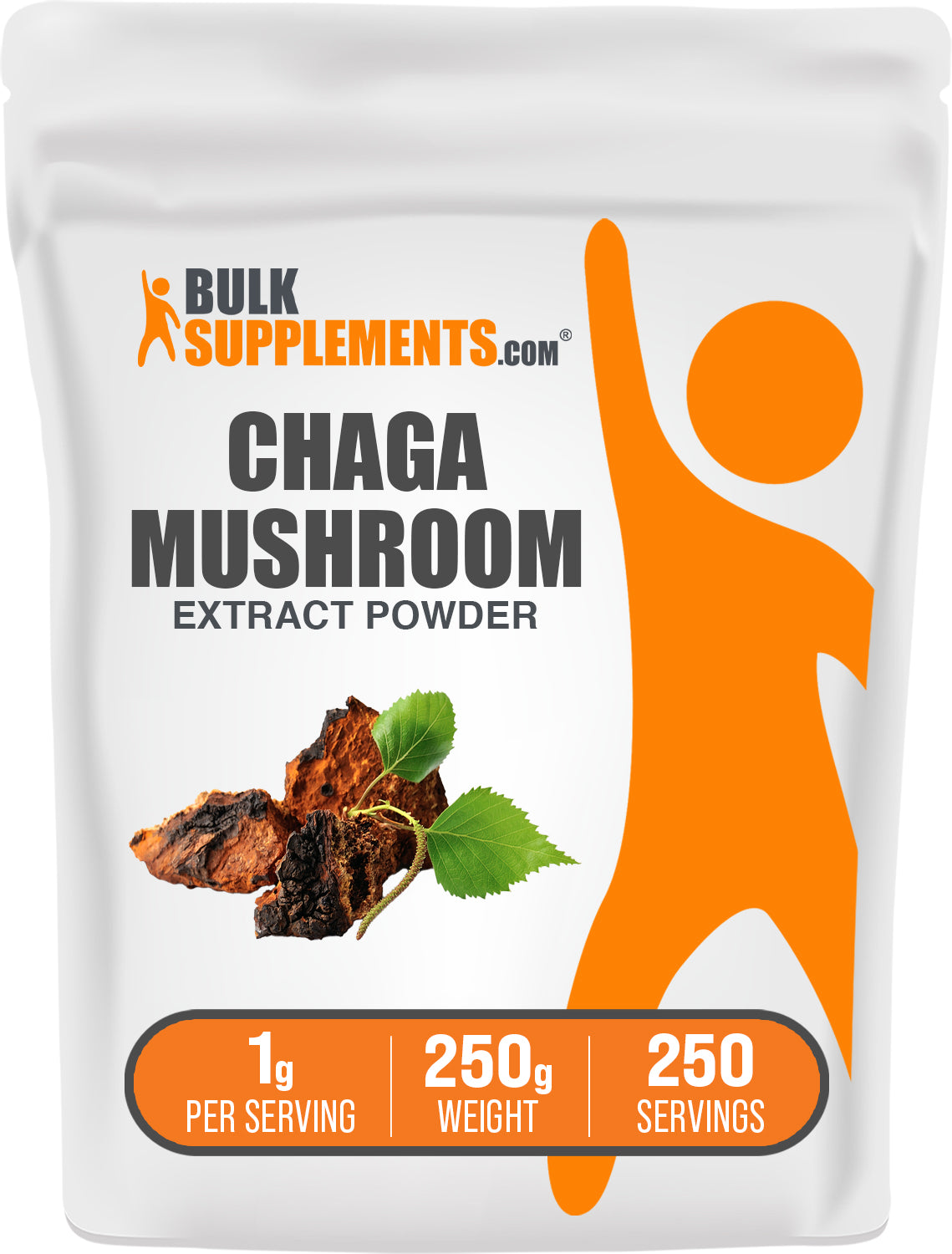 BulkSupplements.com Chaga Mushroom Extract Powder 250g bag image