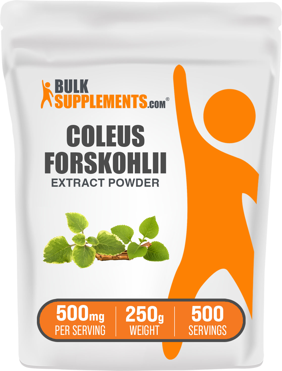 Coleus Forskohlii Extract (10% Forskolin) Powder 250g bag image