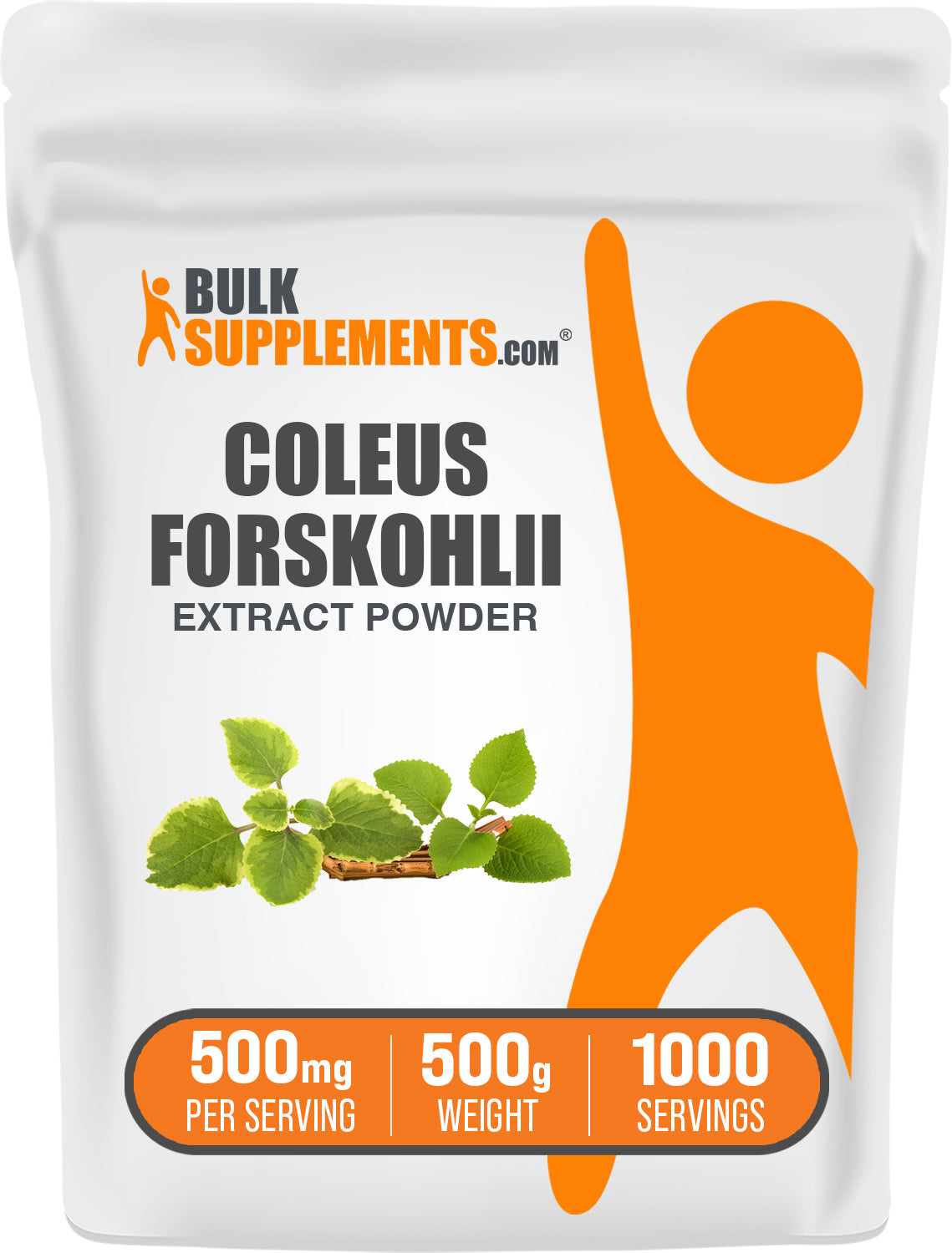 Coleus Forskohlii Extrakt (7,5% Forskolin) Pulver