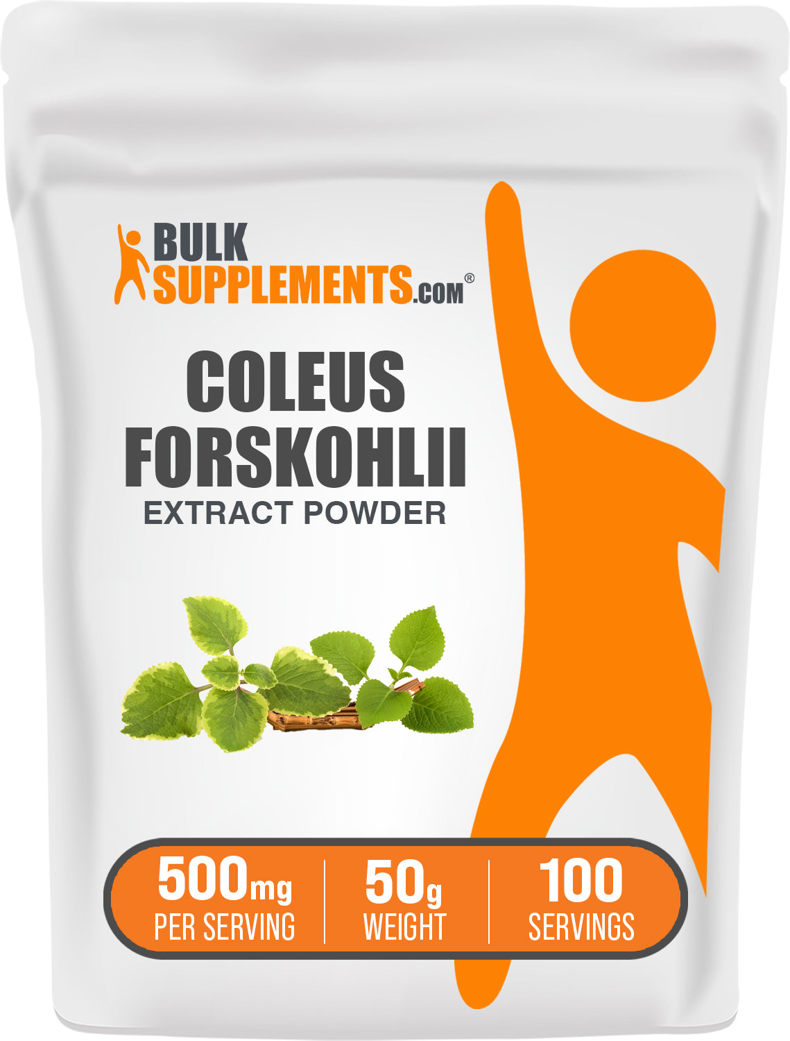 Coleus Forskohlii Extrakt (7,5% Forskolin) Kapseln