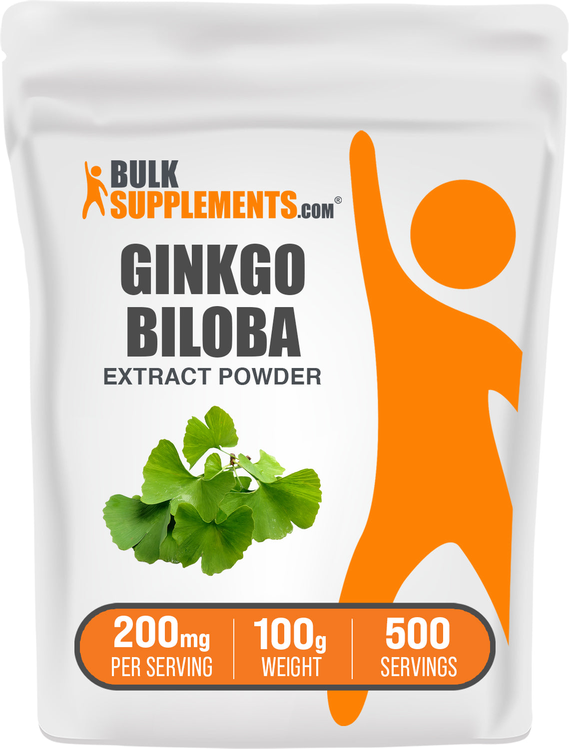 BulkSupplements.com Ginkgo Biloba Extract Powder 100g bag image
