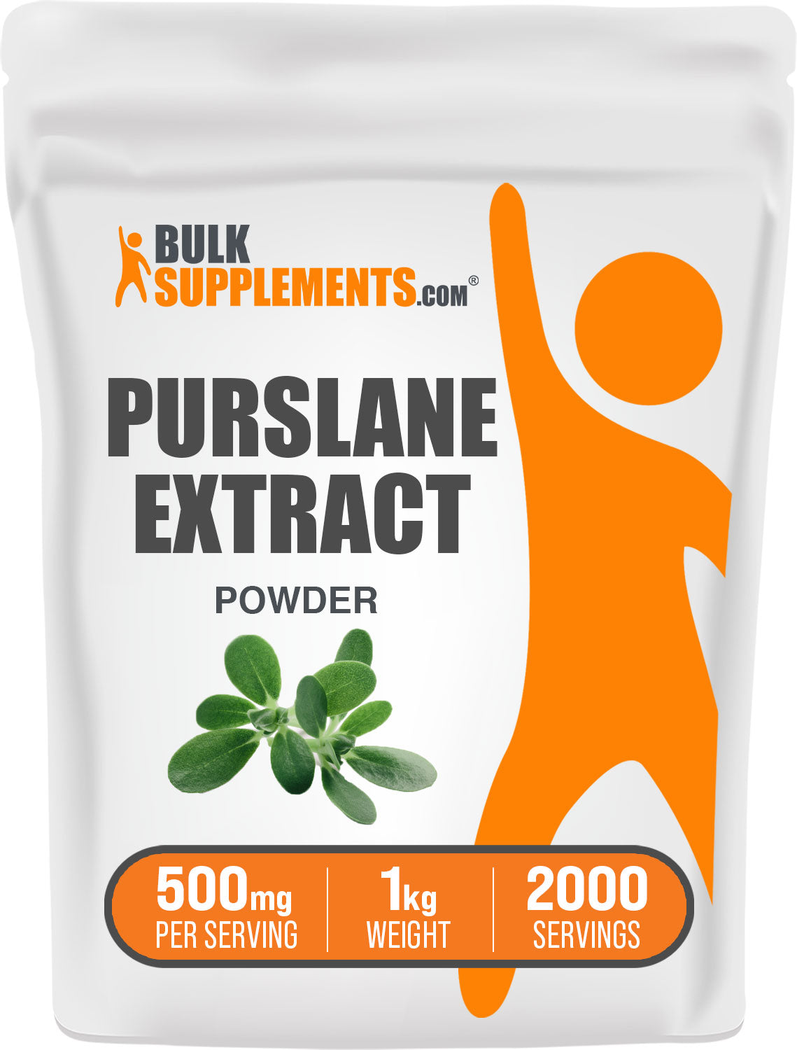 Portulaca Oleracea Extract (Purslane) Powder