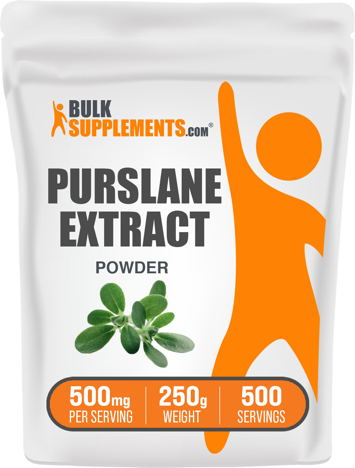 Portulaca Oleracea Extract (Purslane) Powder