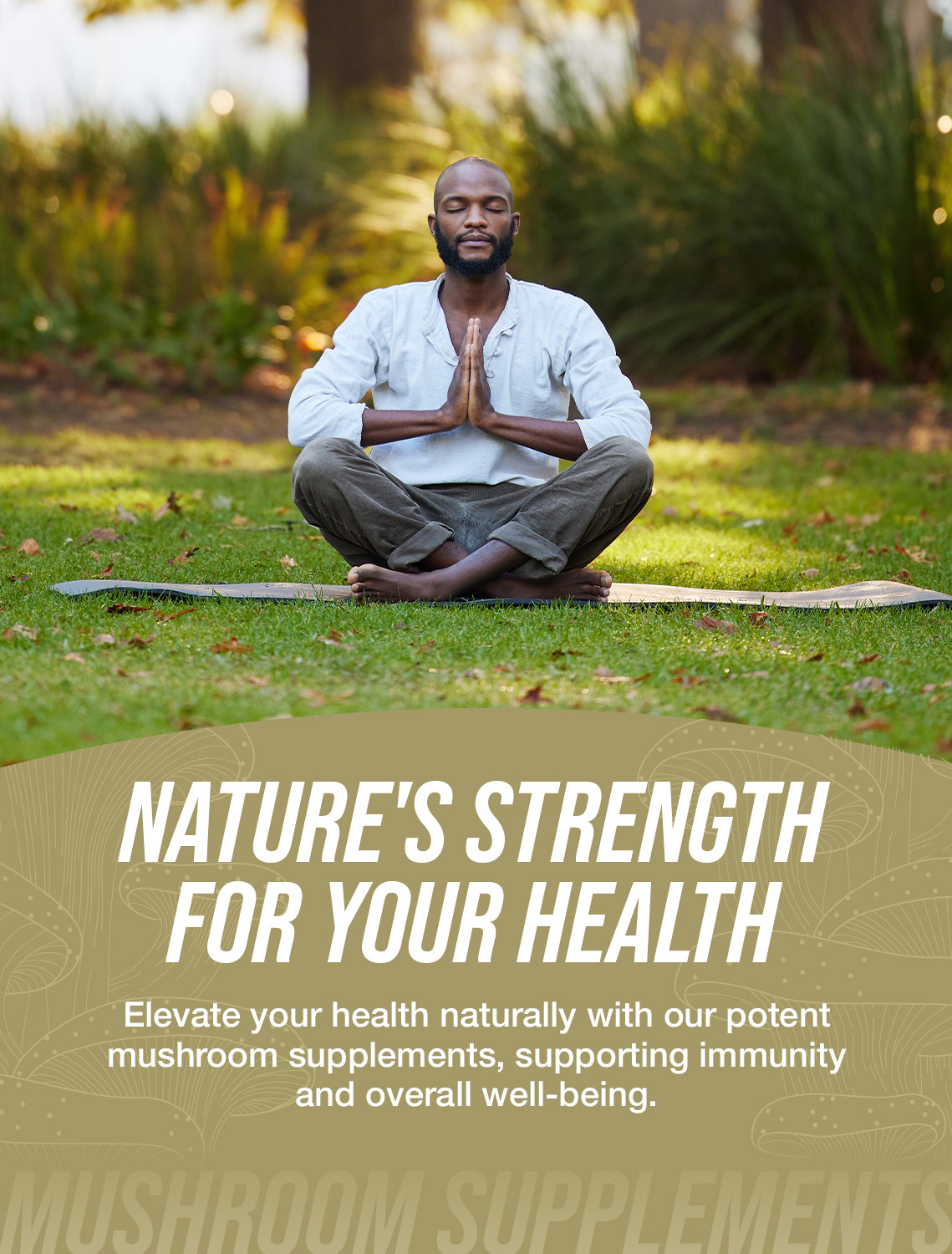 Mushroom supplements category image