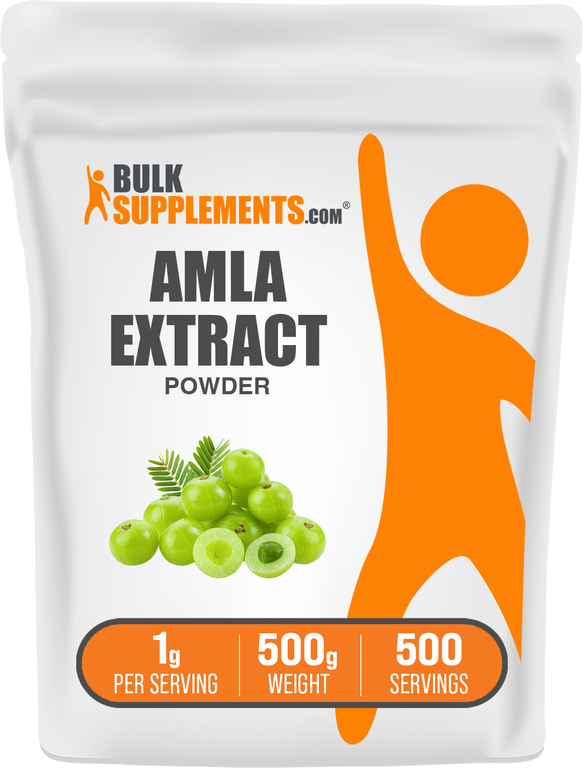 BulkSupplements Amla Extract Powder bag