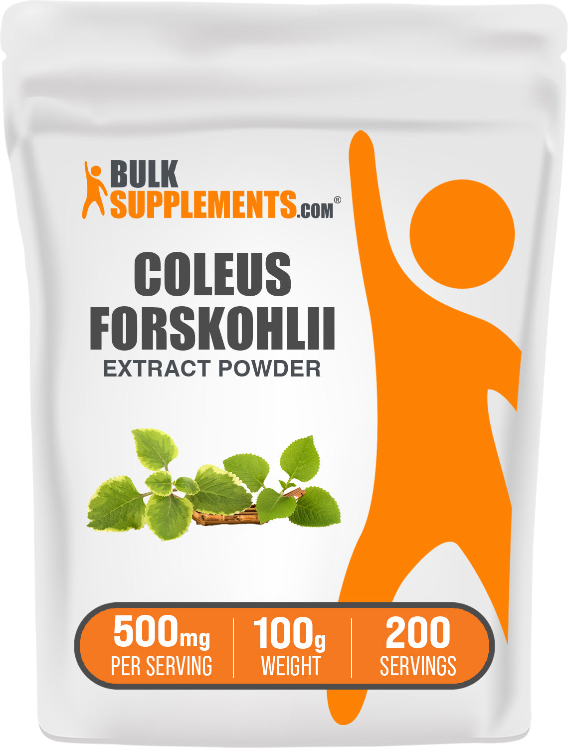 Coleus Forskohlii Extrakt (7,5% Forskolin) Kapseln
