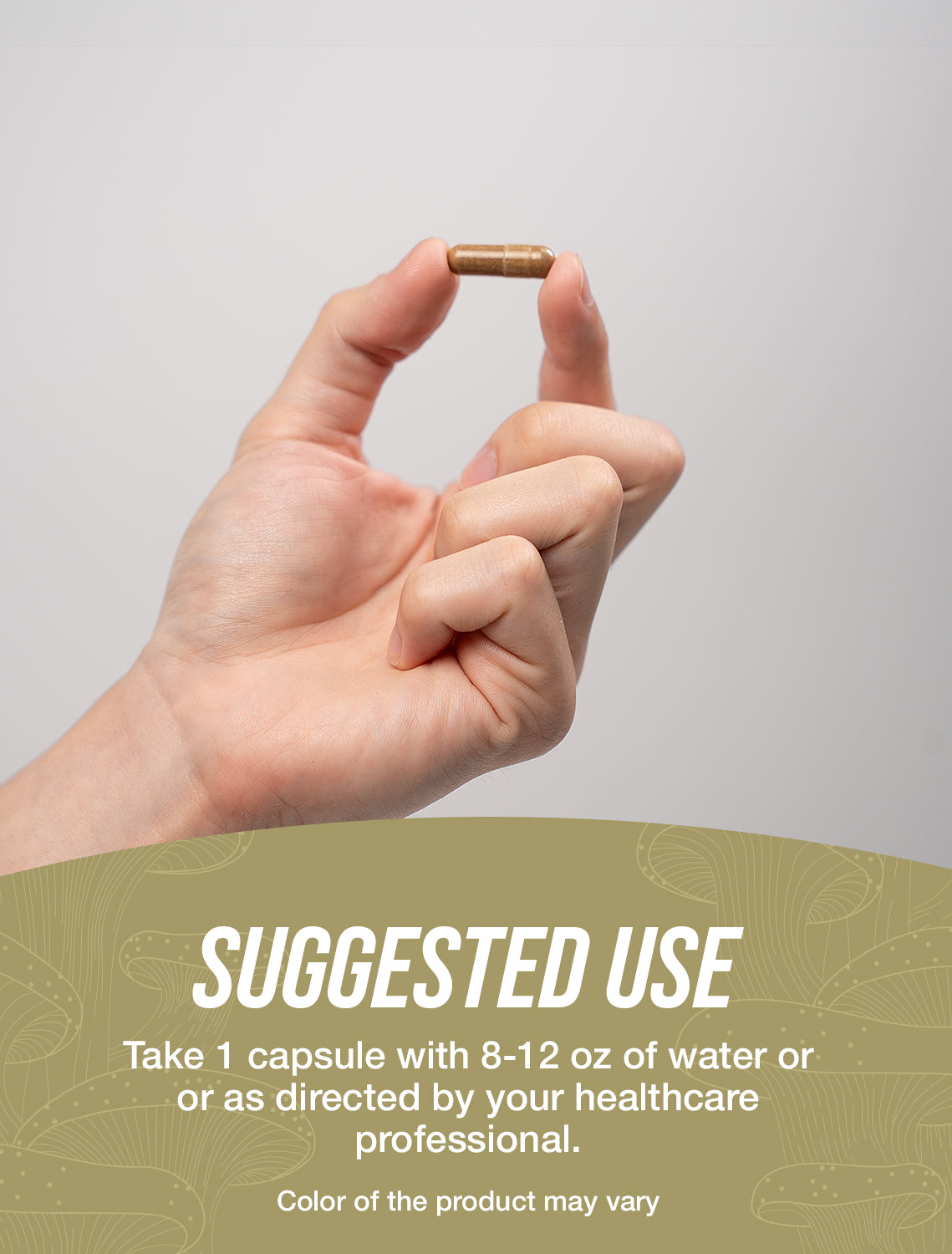 Cordyceps Capsule 240 Suggested Use