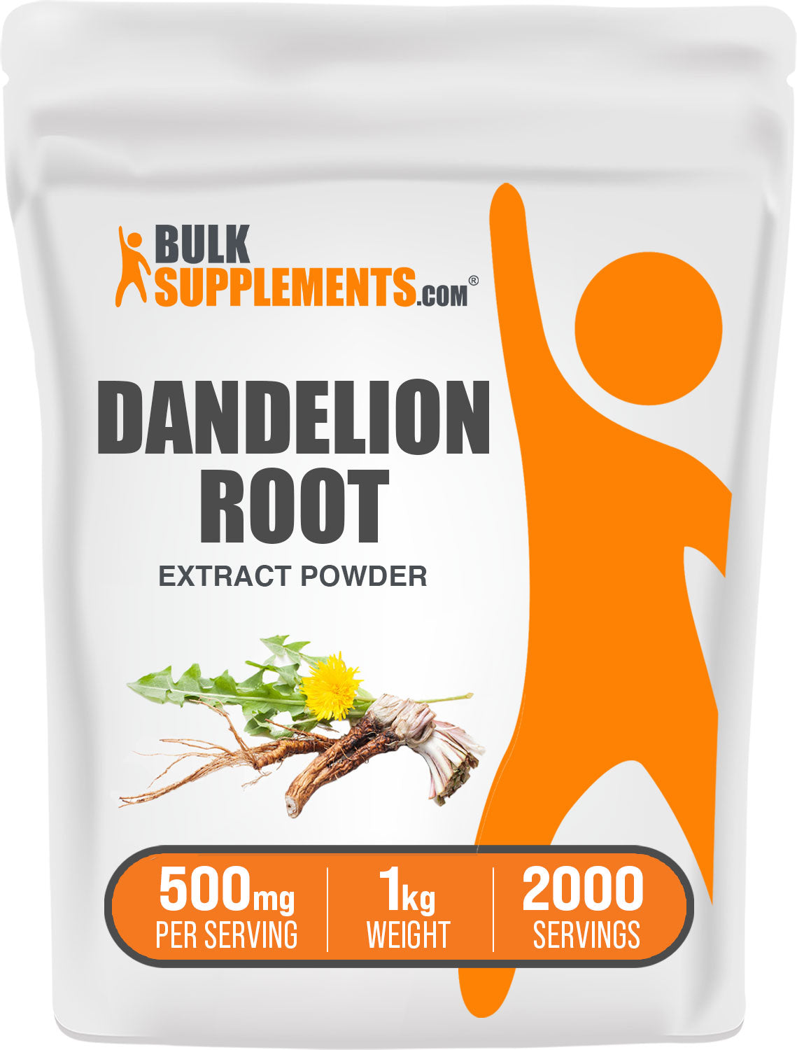 Dandelion Extract Powder