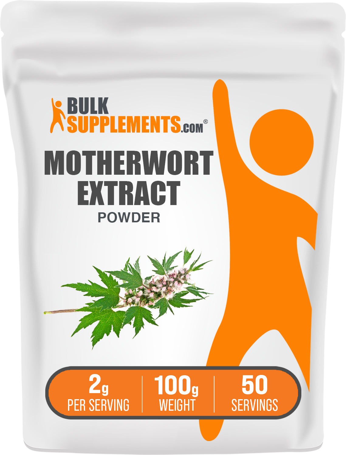 Motherwort Extract Powder 100g Main Image