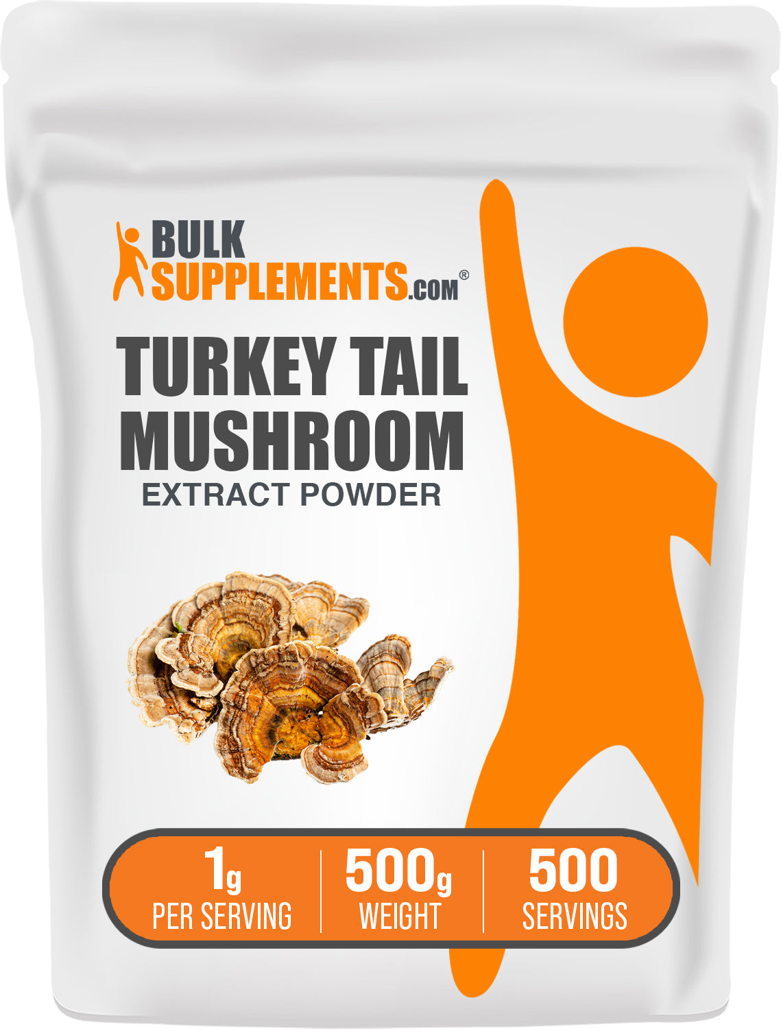 Turkey Tail Mushroom Extract Powder