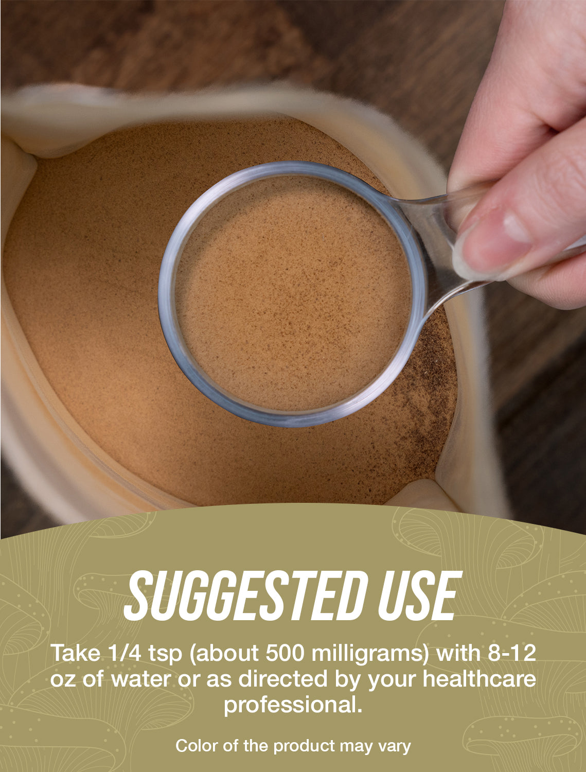 White Button Mushroom extract powder suggested use image